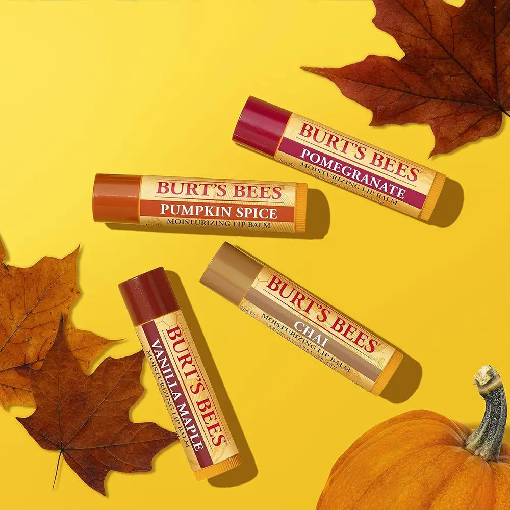 Burt's Bee Fall Lip Balm Gift Set 4 Pack