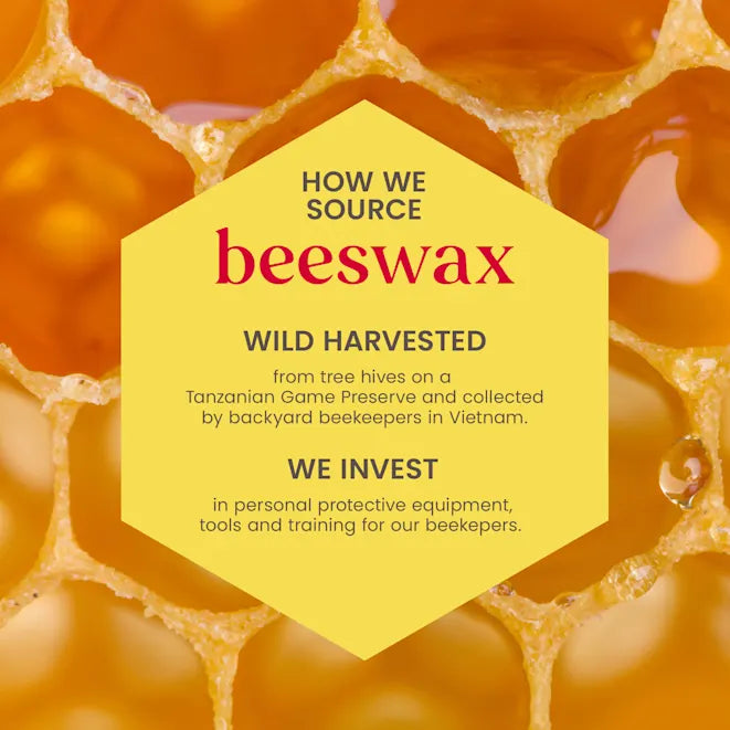 Burt's Bees Beeswax & Honey Lip Balm 4-Pack