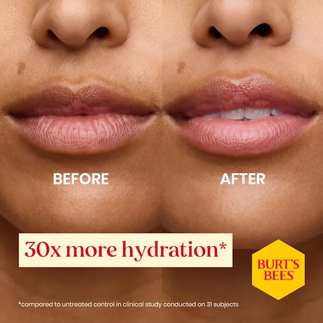 Burt's Bees Birthday Cake Lip Balm