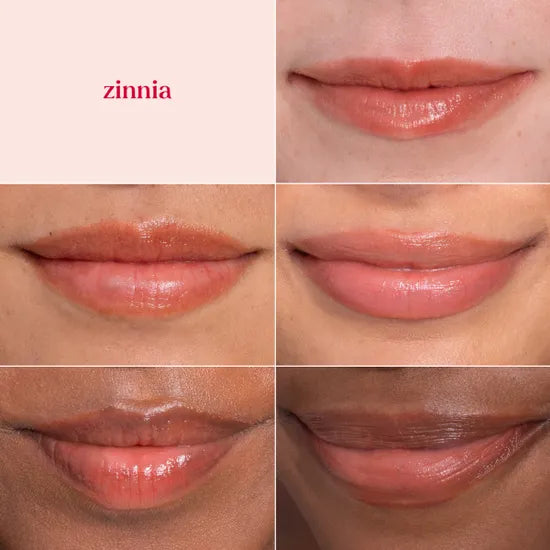 Burt's Bees Zinnia Tinted Lip Balm