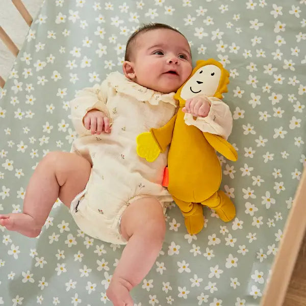 Matchstick Monkey Sensory Teething Teddy Set Lion
