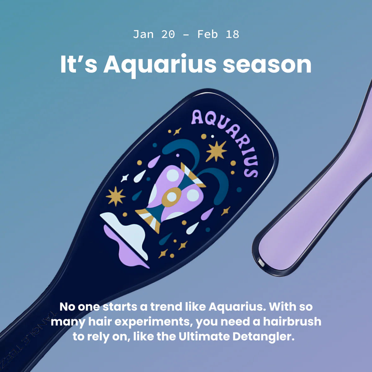 Tangle Teezer Aquarius Zodiac Ultimate Detangler Hairbrush