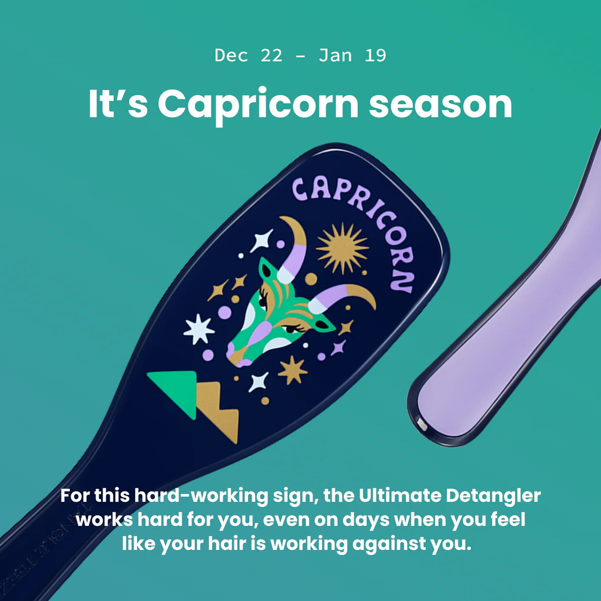 Tangle Teezer Capricon Zodiac Ultimate Detangler Hairbrush