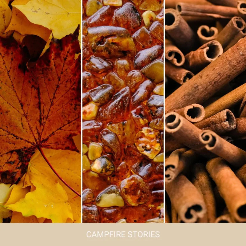 Collage of autumn leaves, stones, and cinnamon sticks with 'Campfire Stories' text.
