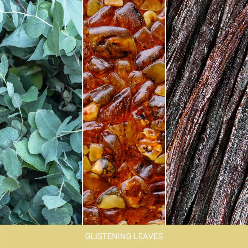 Three vertical panels showing glistening leaves, amber stones, and dark wood texture.