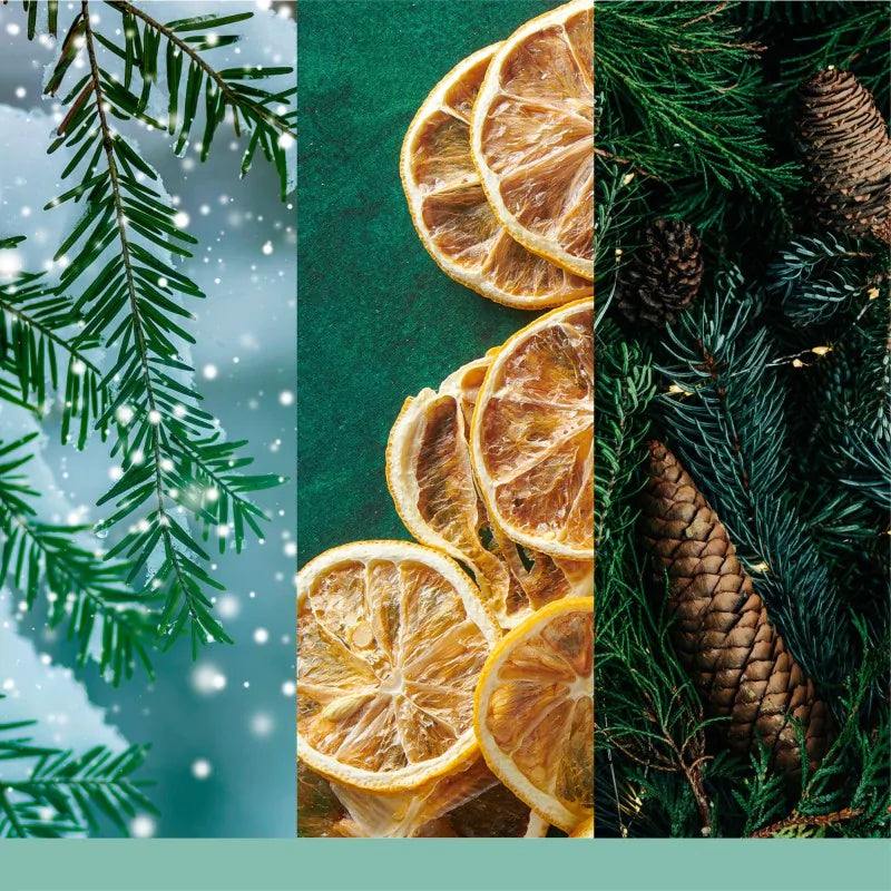 Collage of Christmas elements including pine branches, dried oranges, and pinecones.
