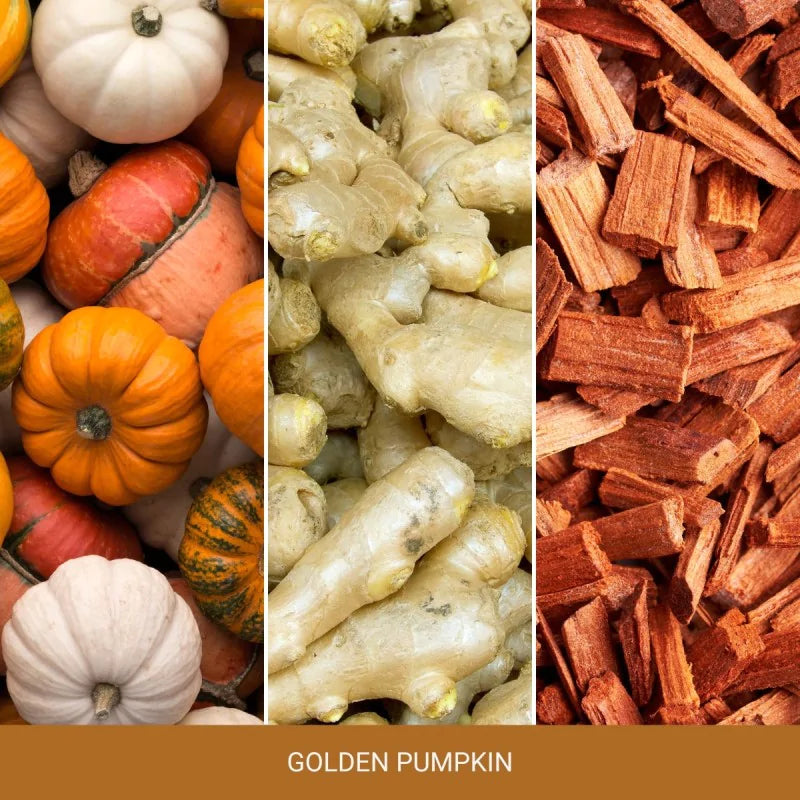 Yankee Candle Medium Signature Golden Pumpkin